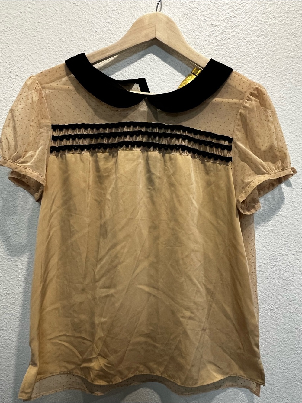 princess vera wang Tan Sheer Dot Blouse with Black Peter Pan Collar